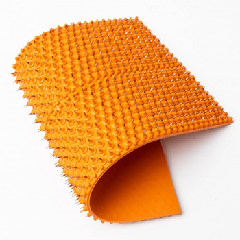 Lyapko-Matte mit Chance-Massagenadeln