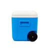 KÜHLBOX 52L AUF 2 ROLLEN ICE BOX PRO SPORT LINE  59 x 49 x 55 cm