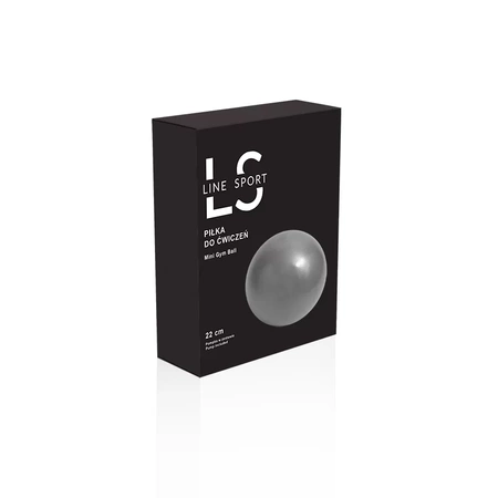 Reha-Gymnastikball mit Line Sport Pumpe, 22 cm