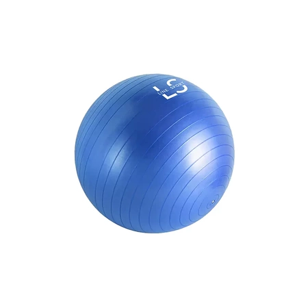 Rehaball für Übungen mit einer Line Sport Pumpe