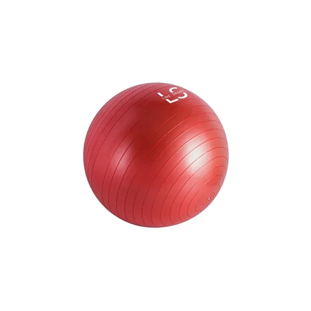 Rehaball für Übungen mit einer Line Sport Pumpe