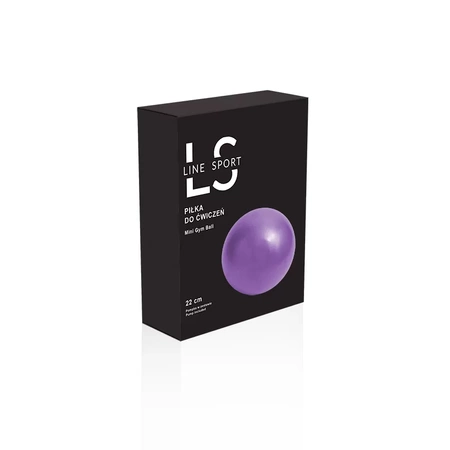 Reha-Gymnastikball mit Line Sport Pumpe, 22 cm