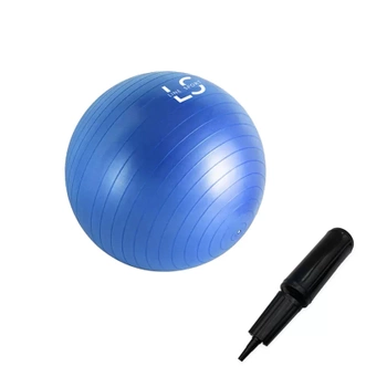 Rehaball für Übungen mit einer Line Sport Pumpe