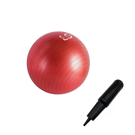 Rehaball für Übungen mit einer Line Sport Pumpe